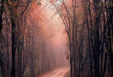 开云体育APP下载-德国网球队爆冷击败英国，纳达尔奇迹逆转再兑现篮球精神