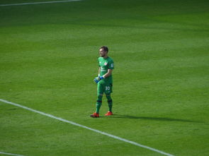 开云体育官方网站-多特蒙德险胜曼联，卡瓦尼补时绝平德甲