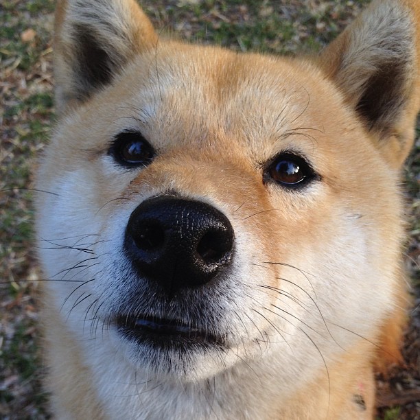 开云APP-德比心脏，加维在诺坎普风暴中的硬汉宣言